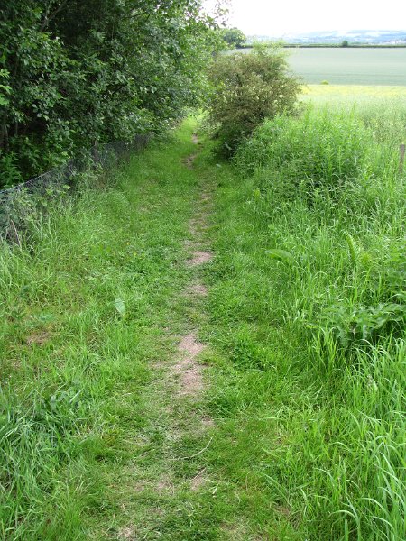 st cuthberts way_dere street.jpg - Dere street, de naam die de oude Romeinse weg heeft die van York naar de rivier de Forth liep. Maar zoals je ziet, veel weg is er niet meer.